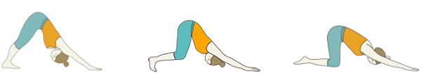 Downward Facing Dog modificaties voor yoga beginners
